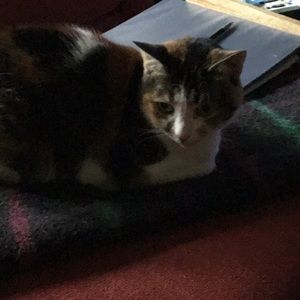 Meet your Posher, Mary